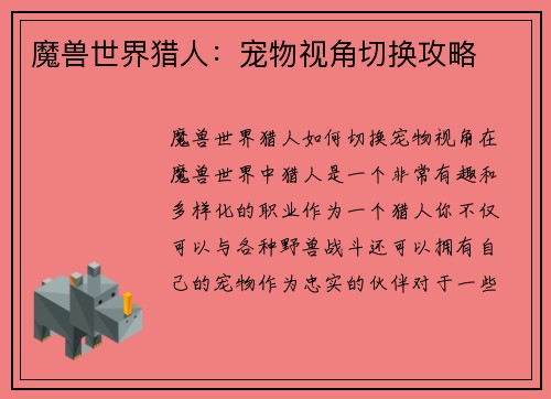 魔兽世界猎人：宠物视角切换攻略